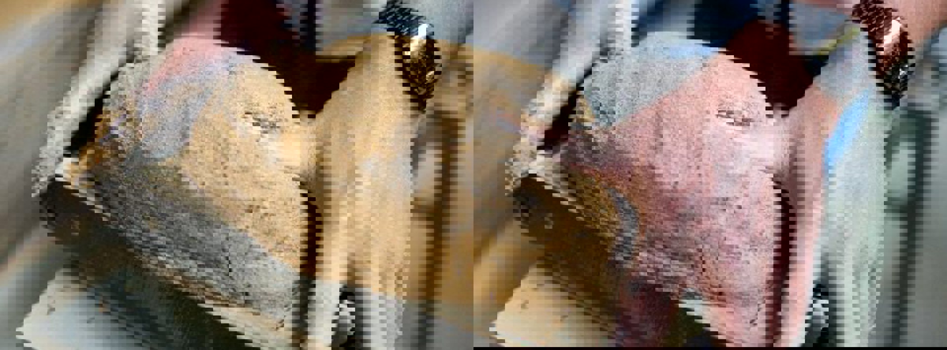 The circular economy in practice Hero Image