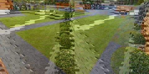 A garden with lots of grass and greenery