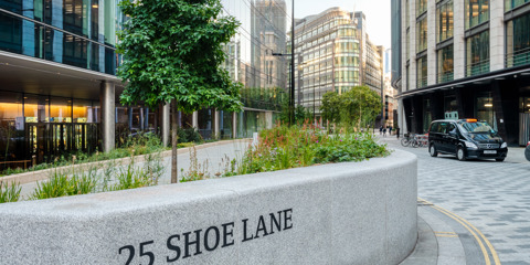 Carved and hand painted address for 25 Shoe Lane