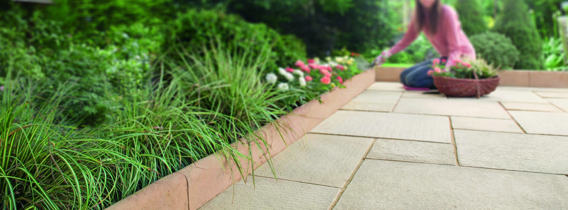 12 Ideas for Edging a Lawn Hero Image