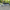 Ardara Grey Paving