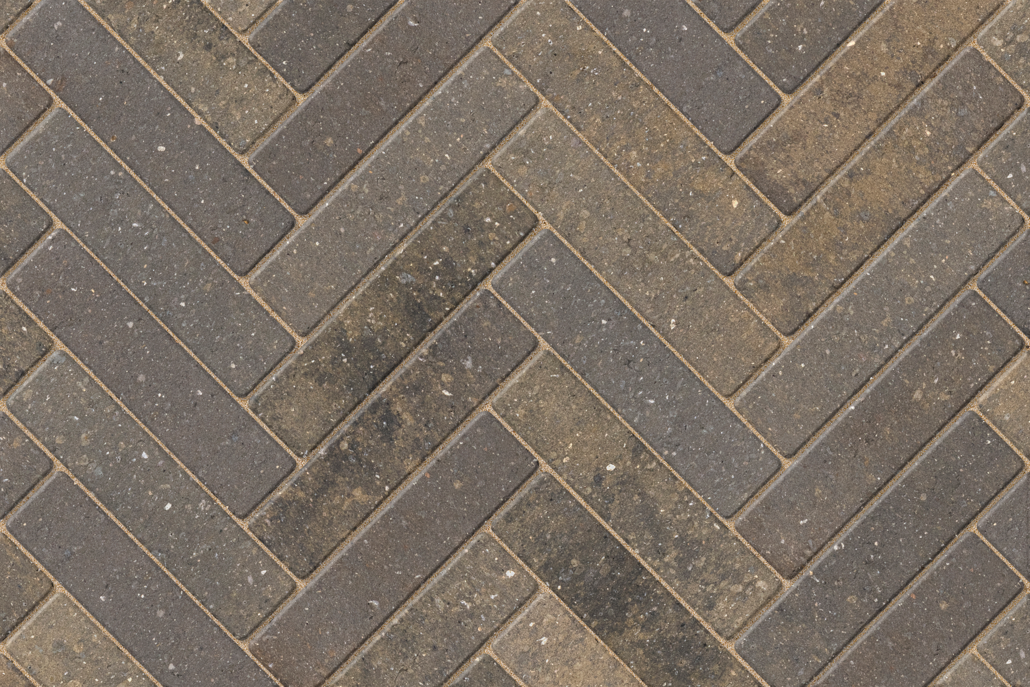Savanna Linear in Pennant Grey