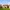 Willow farm