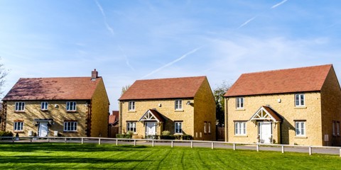 Willow farm