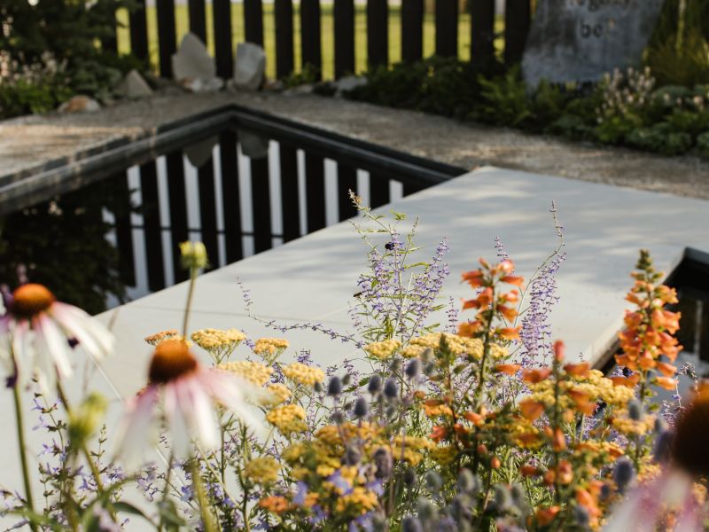 Planting in the Macmillan Legacy Garden
