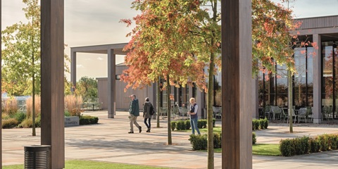National Memorial Arboretum
