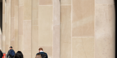 Stanton Moor Facades