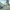BMW/Mini Showroom Image 2