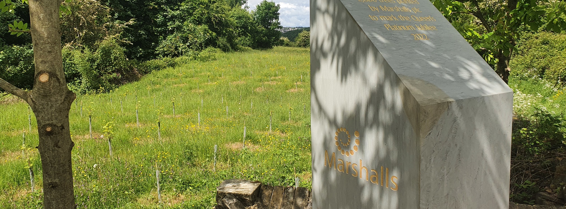 Marshalls plants 2,800 trees for the Jubilee  Hero Image