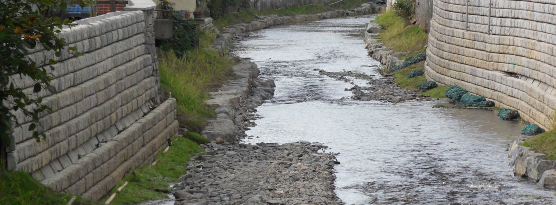 Rive Teifi Case Study Hero Image