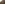 Development of the Year Hero Image