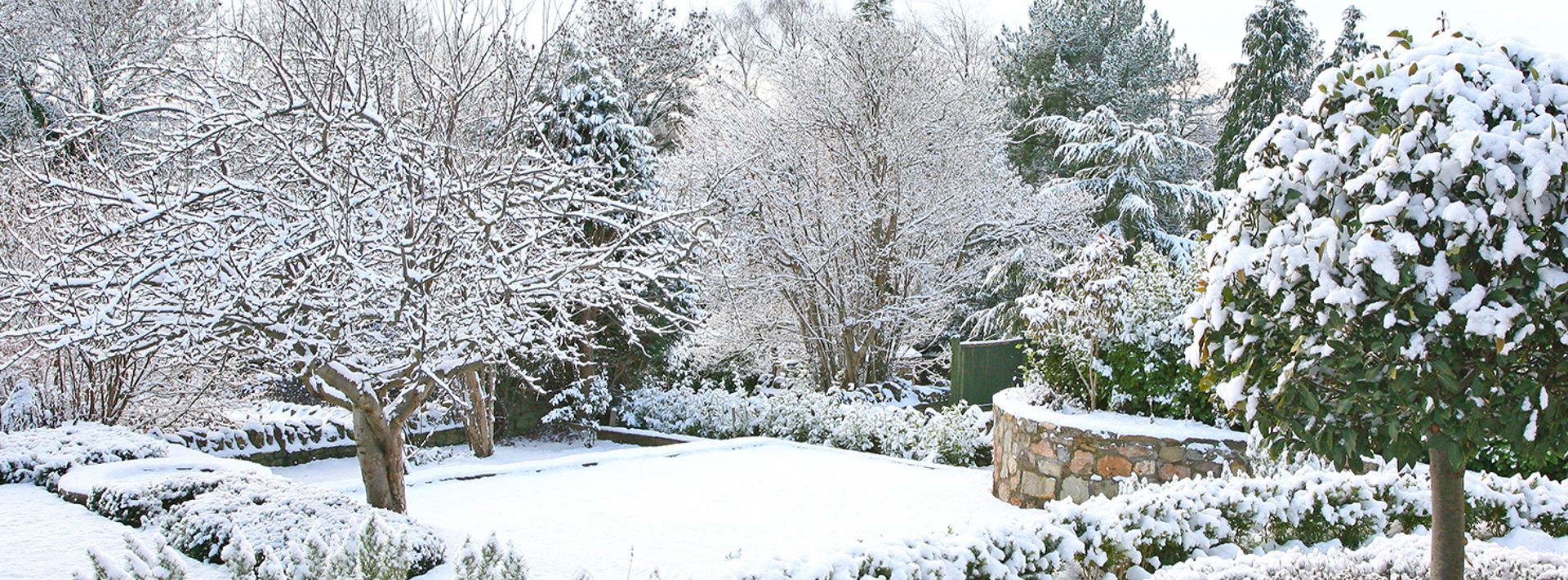 How to prepare your garden for winter Hero Image