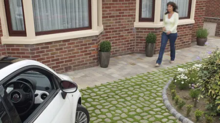Bioverse paving