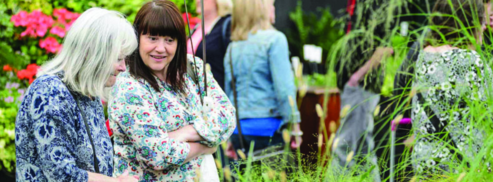 Marshalls at BBC Gardeners’ World Live Hero Image