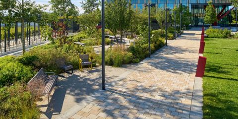 Modal X paving laid on a pathway next to wooden furniture and lots of greenery