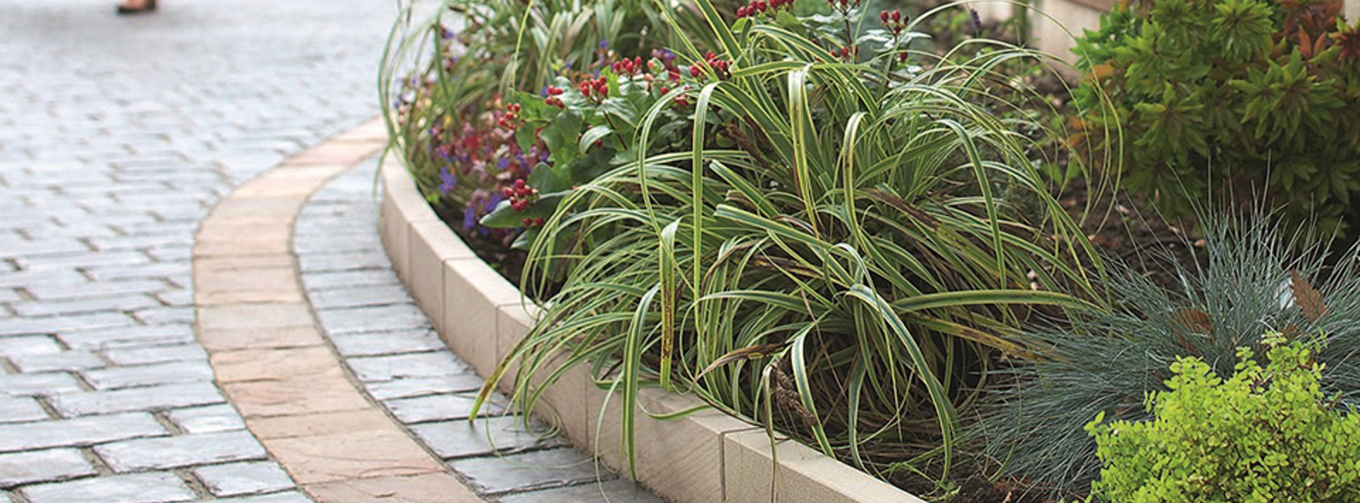 Budget garden ideas for 2018 Hero Image