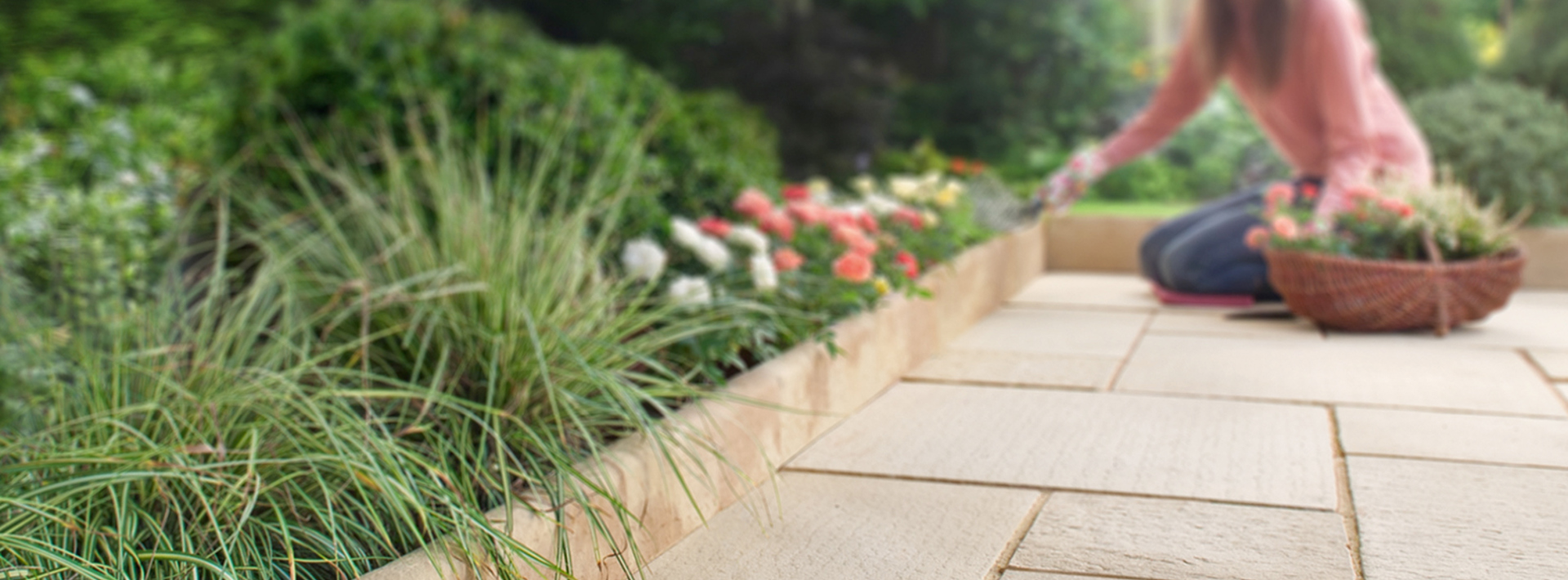 Create Your Own Sensory Garden Hero Image