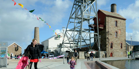 Heartlands, Cornwall 
