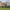 6 new homes featuring bespoke cast stone dressings