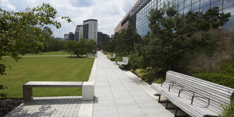Eastside City Park