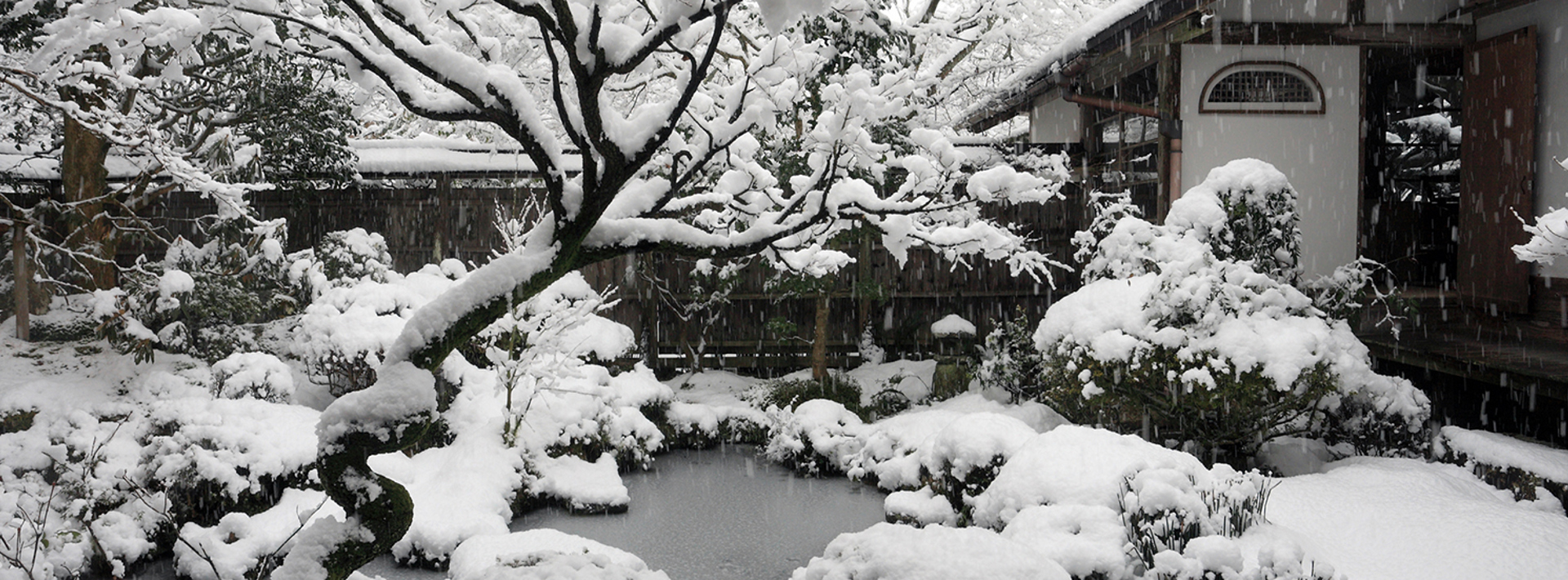 Winter gardens preparation is key Hero Image